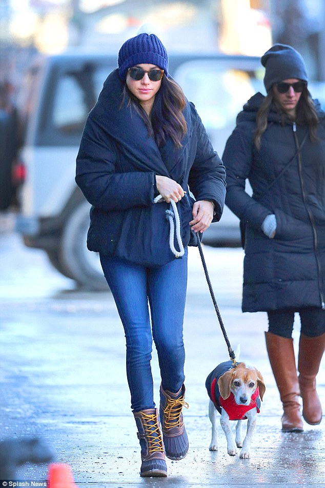 dog walking in snow boots